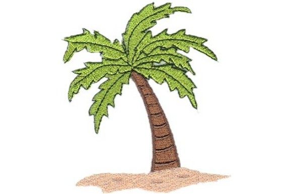 Beachy Palm Review for Holiday Collections