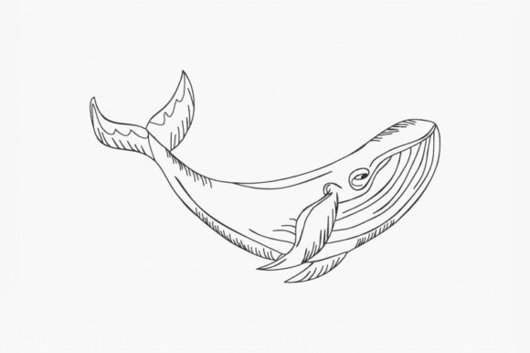 Blue Whale Line Art Review for Craft Fair Products
