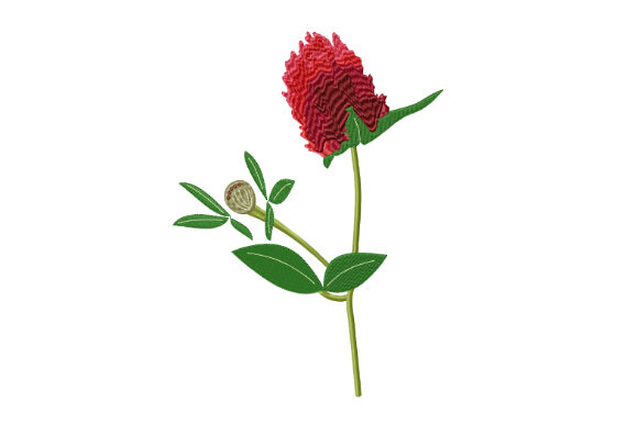 Red Clover Flower Embroidery Review